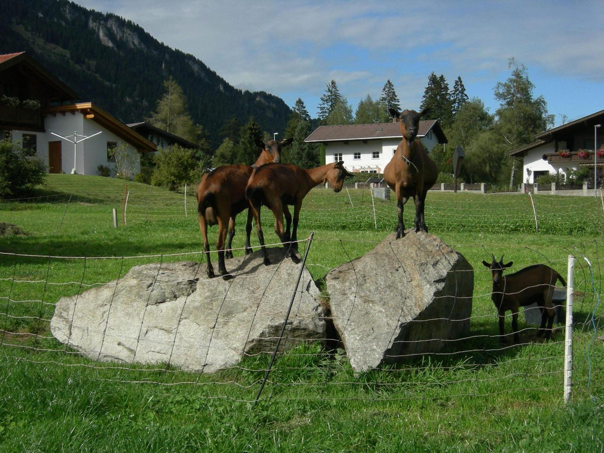 S'Hoamatl Hotel Hofen ภายนอก รูปภาพ
